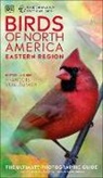 DK, DK&gt; - AMNH Birds of North America Eastern