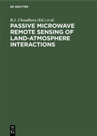 B. J. Choudhury, Degruyter, Y. H. Kerr, E. G. Njoku, P. Pampaloni - Passive Microwave Remote Sensing of Land-Atmosphere Interactions