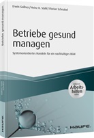 Erwi Gollner, Erwin Gollner, Florian Schnabel, Heinz Stahl, Heinz K Stahl, Heinz K. Stahl - Betriebe gesund managen - inkl. Arbeitshilfen online