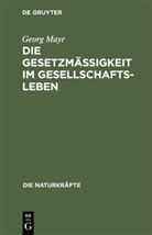 Georg Mayr - Die Gesetzmäßigkeit im Gesellschaftsleben