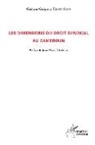 Gislain Grégory Tsasse Saha - Les dimensions du droit syndical au Cameroun