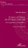 Nathanaël T Niambi, Nathanaël T. Niambi - France et Chine en Afrique centrale
