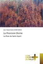 Jean-Claude Parfait Ekomi Aboue - La Provision Divine