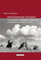 Mario Niemann - Beständiger Wandel