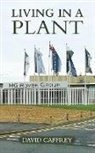 David Caffrey - LIVING IN A PLANT