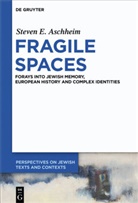 Steven E Aschheim, Steven E. Aschheim - Fragile Spaces