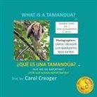 Carol Creager - What is a Tamandua