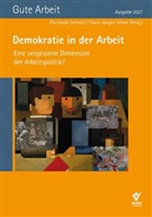 Marti Beckmann, Martin Beckmann, Johanne Brettner, Johannes Brettner, Richard Detje, Christop Schmitz... - Demokratie in der Arbeit - Eine vergessene Dimension der Arbeitspolitik?