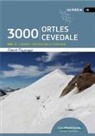 Alberto Fangareggi - 3000 ORTLES-CEVEDALE