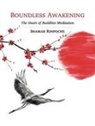 Shamar Rinpoche - Boundless Awakening
