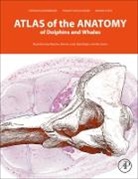 Bruno Cozzi, Bruno (Department of Comparative Biomedicine and Food Science Cozzi, Cozzi Bruno, Helmut A Oelschläger, Stefan Huggenberger, Stefan (Department of Anatomy II Huggenberger... - Atlas of the Anatomy of Dolphins and Whales