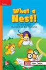 McGraw Hill, Mcgraw-Hill - Reading Wonders Leveled Reader What a Nest!: Approaching Unit 2 Week 2 Grade 1