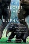 Hannah Mumby - The Secret Lives of Elephants
