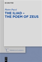 Pietro Pucci - The Iliad - the Poem of Zeus