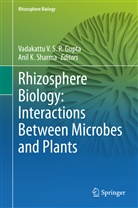 Vadakattu V. S. R. Gupta, K Sharma, K Sharma, Anil K. Sharma, Vadakatt V S R Gupta, Vadakattu V S R Gupta - Rhizosphere Biology: Interactions Between Microbes and Plants