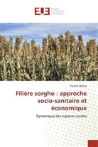 Faustin Djimra - Filière sorgho : approche socio-sanitaire et économique