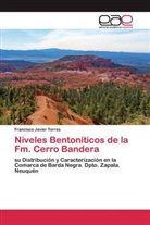 Francisco Javier Torres - Niveles Bentoníticos de la Fm. Cerro Bandera