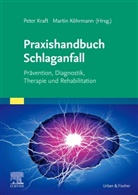 Köhrmann, Köhrmann, Martin Köhrmann, Pete Kraft, Peter Kraft - Praxishandbuch Schlaganfall