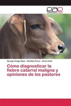 Georg Chege Gitao, George Chege Gitao, Annie Cook, George Chege Gitao, Sheilla Orono, Sheillah Orono - Cómo diagnosticar la fiebre catarral maligna y opiniones de los pastores