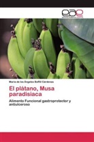 Maria de los Ángeles Boffiil Cárdenas - El plátano, Musa paradisiaca