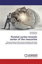 Nine Ipekchyan, Ninel Ipekchyan, John Sarkissian - Parietal cortex-mnestic center of the neocortex