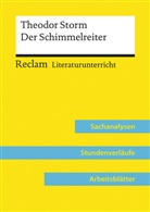 Nicola Mitterer - Theodor Storm: Der Schimmelreiter (Lehrerband) | Mit Downloadpaket (Unterrichtsmaterialien)