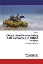 Anitha U - Object Identification Using Soft Computing in SONAR images