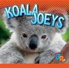 Jen Besel - Koala Joeys