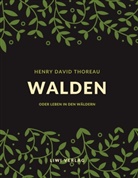 Henry D. Thoreau - Walden oder Leben in den Wäldern