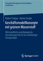 Rober Staiger, Robert Staiger, Adrian Tan  u, Adrian Tan?au, Adrian Tan¿¿u, Adrian Tan¿au... - Geschäftsmodellkonzepte mit grünem Wasserstoff