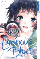 Kiyoko Iwami - Luminous Blue. Bd.1