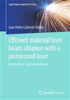 Juan Pablo Calder&oacute;n Urbina - Efficient material laser beam ablation with a picosecond laser