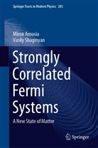 Miro Amusia, Miron Amusia, Vasily Shaginyan - Strongly Correlated Fermi Systems