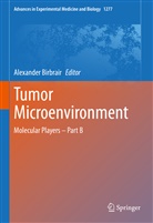Alexande Birbrair, Alexander Birbrair - Tumor Microenvironment
