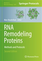 Mar Boudvillain, Marc Boudvillain - RNA Remodeling Proteins