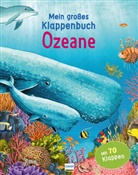 Anita Ganeri, Galia Bernstein - Mein großes Klappenbuch - Ozeane