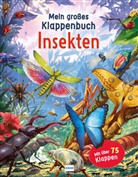 Rod Green, Mike Love - Mein großes Klappenbuch - Insekten