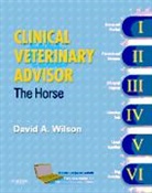 David Wilson - Clinical Veterinary Advisor