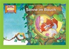 Christiane Paulsen, Sybille Terrahe, Andrea Hebrock - Sonne im Bauch / Kamishibai Bildkarten