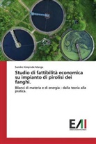 Sandro Kimpinde Manga - Studio di fattibilità economica su impianto di pirolisi dei fanghi.