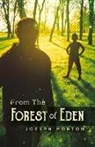 Joseph Morton - From the Forest of Eden: Volume 1