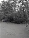 Linda Moon - Collections of a Sound Mind Vol 1: Embracing, Allowing and Enlightening in Love Volume 1