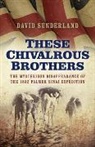 David Sunderland, Sunderland David - These Chivalrous Brothers – The Mysterious Disappearance of the 1882 Palmer Sinai Expedition