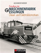Alexander Weber - Maschinenfabrik Esslingen: Diesel- und Elektrolokomotiven