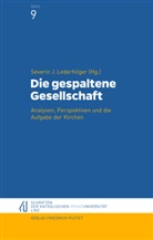 Severi J Lederhilger, Severin J Lederhilger, Severin J. Lederhilger - Die gespaltene Gesellschaft
