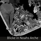 Florian Söll - Blicke in Noahs Arche