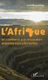 Abel Renaud Eba - L'Afrique un continent aux ressources minières exceptionnelles