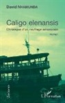 David Nhamunda - Caligo elenansis