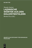 Theodor Gartner, FEZZI, Herme Fezzi, Hermes Fezzi, Alfon Hilka - Ladinische Wörter aus den Dolomitentälern