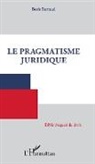 Boris Barraud - Le pragmatisme juridique